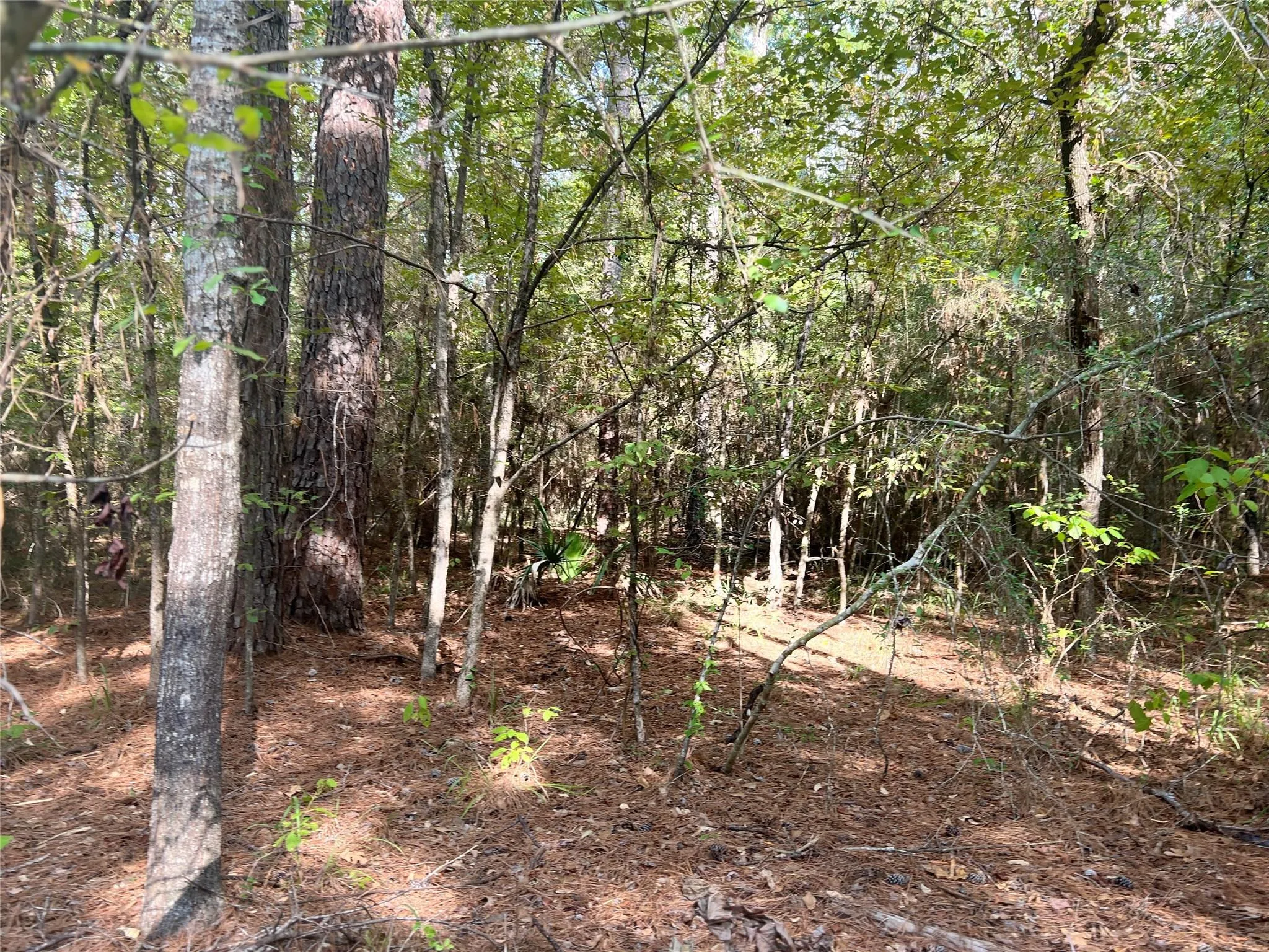 0 Oak Drivem - Huntsville