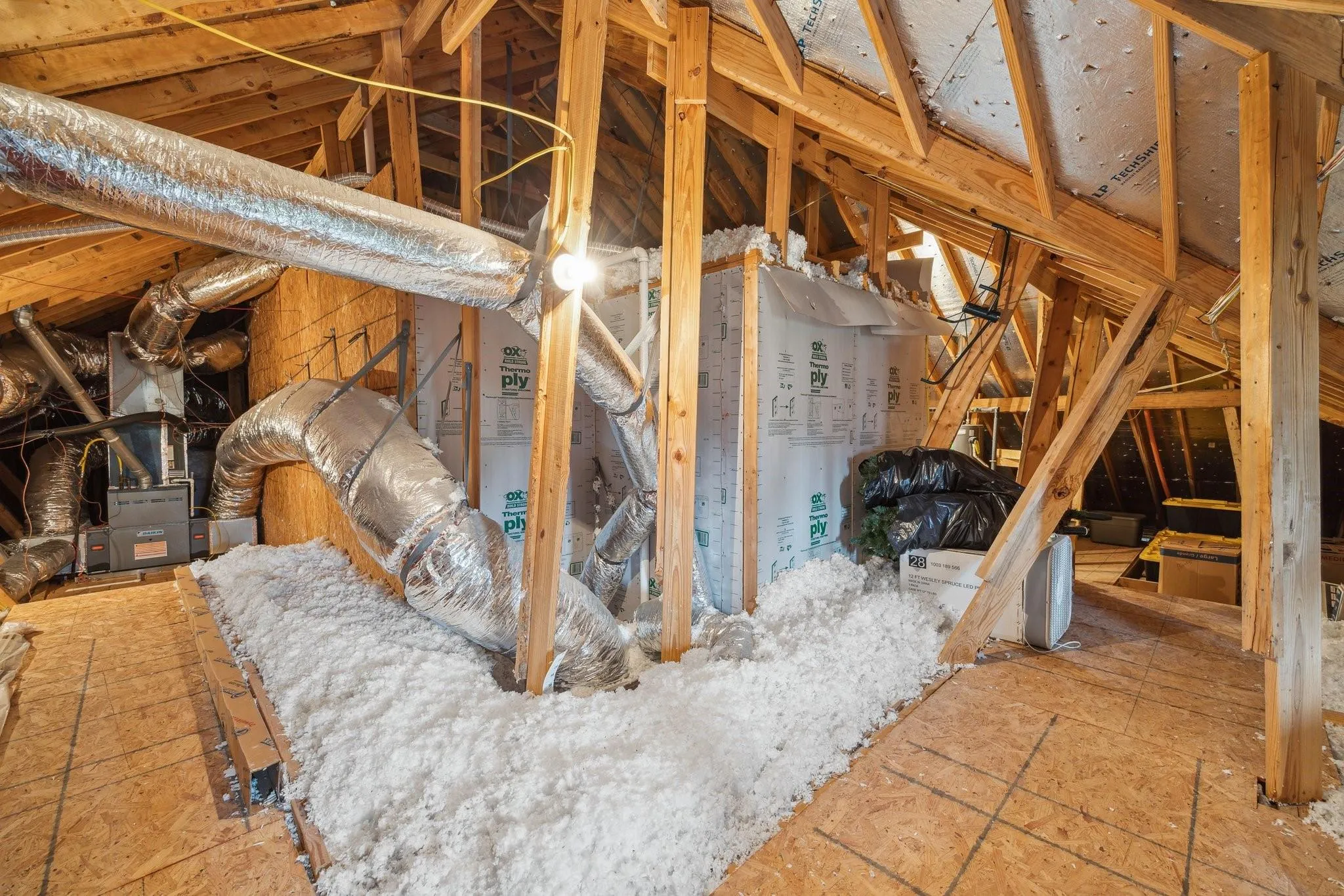 111 Coral Bells Court