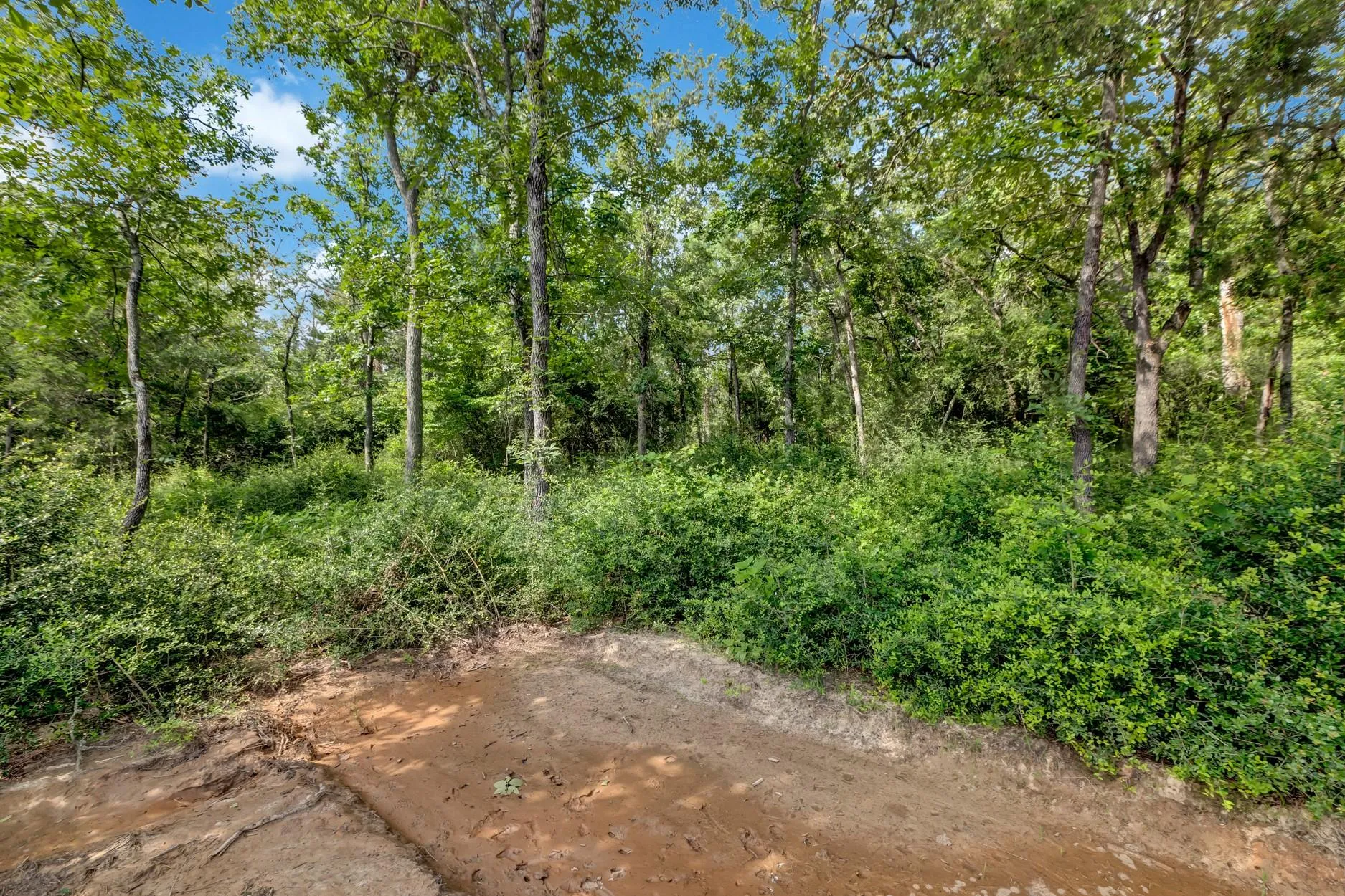 1294 Private Road 1311