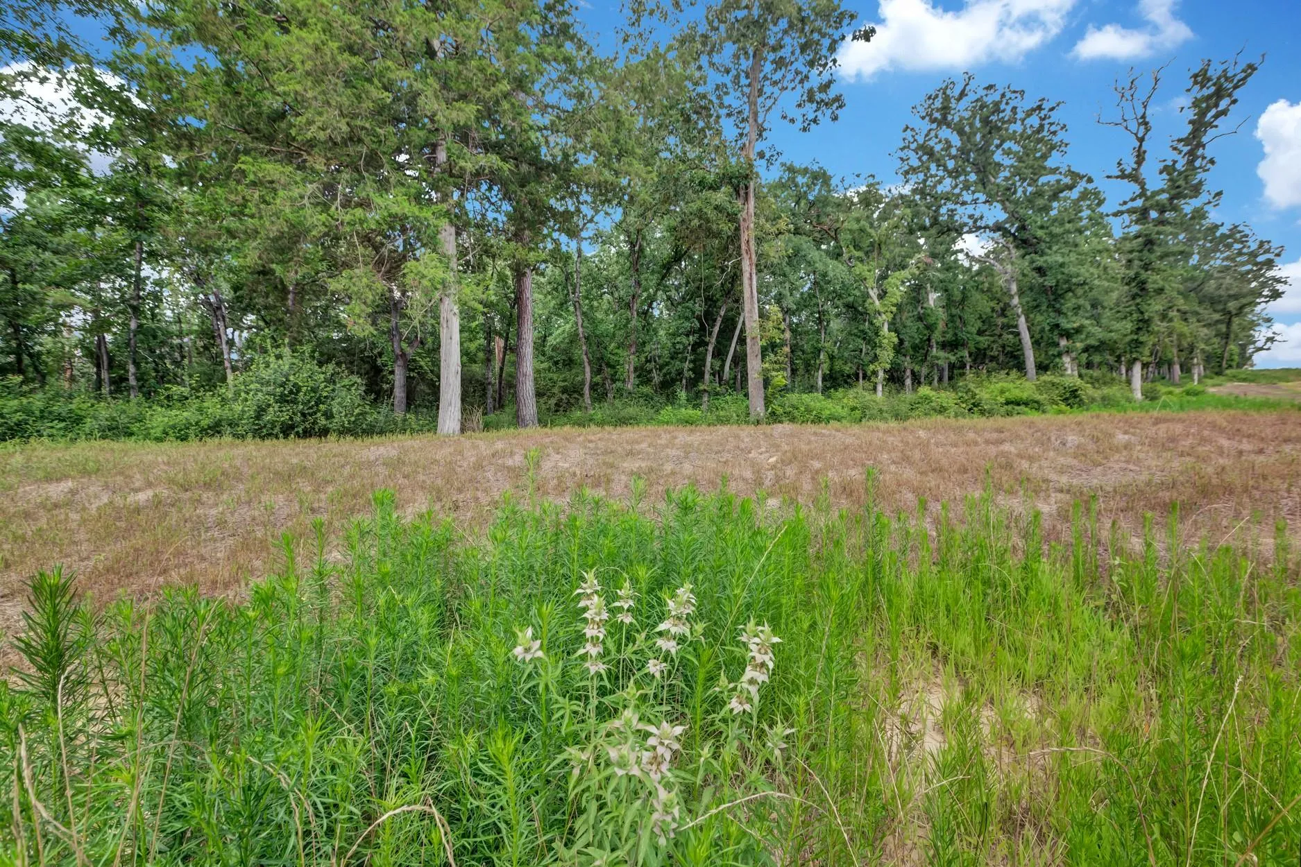 1294 Private Road 1311