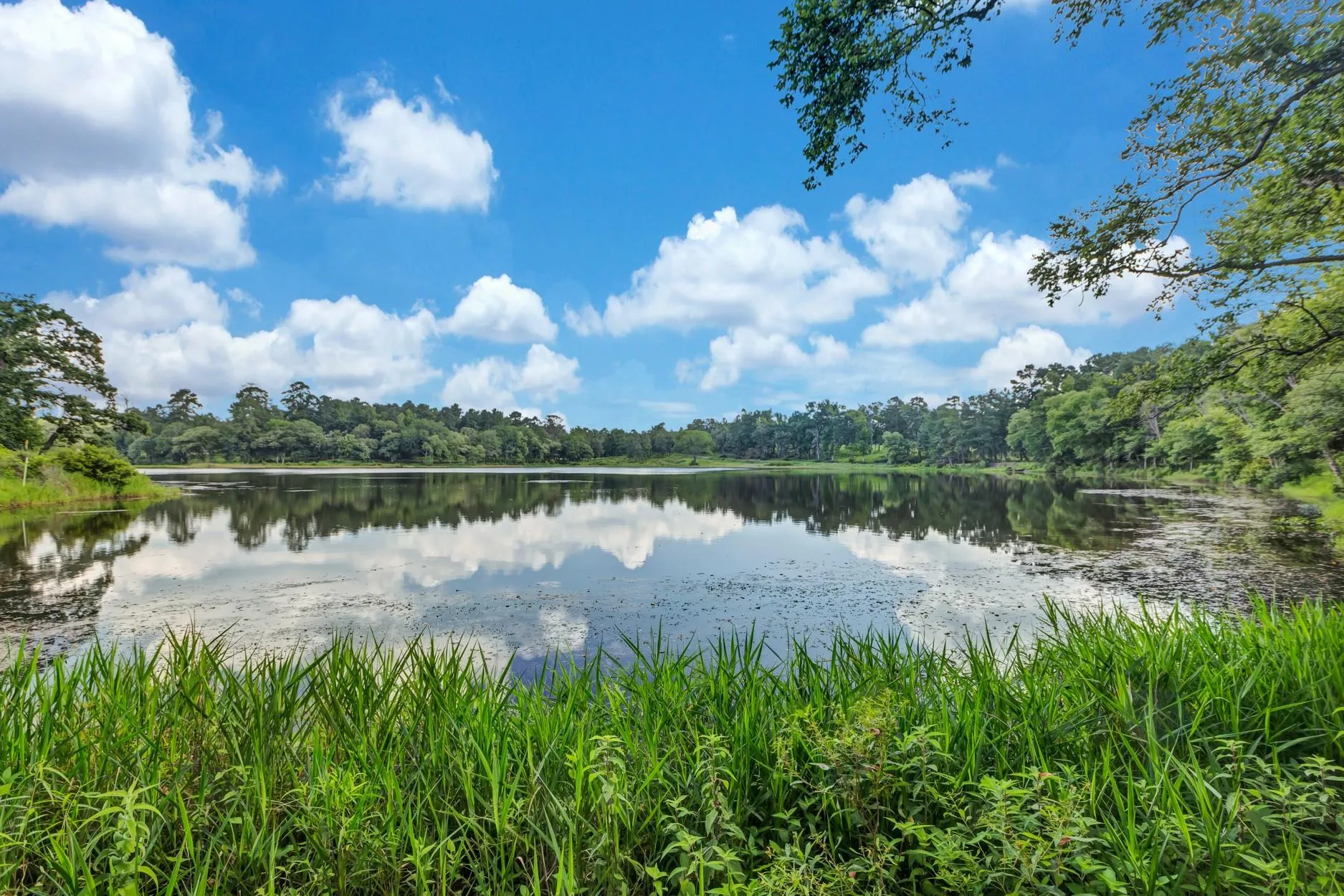 1294 Private Road 1311