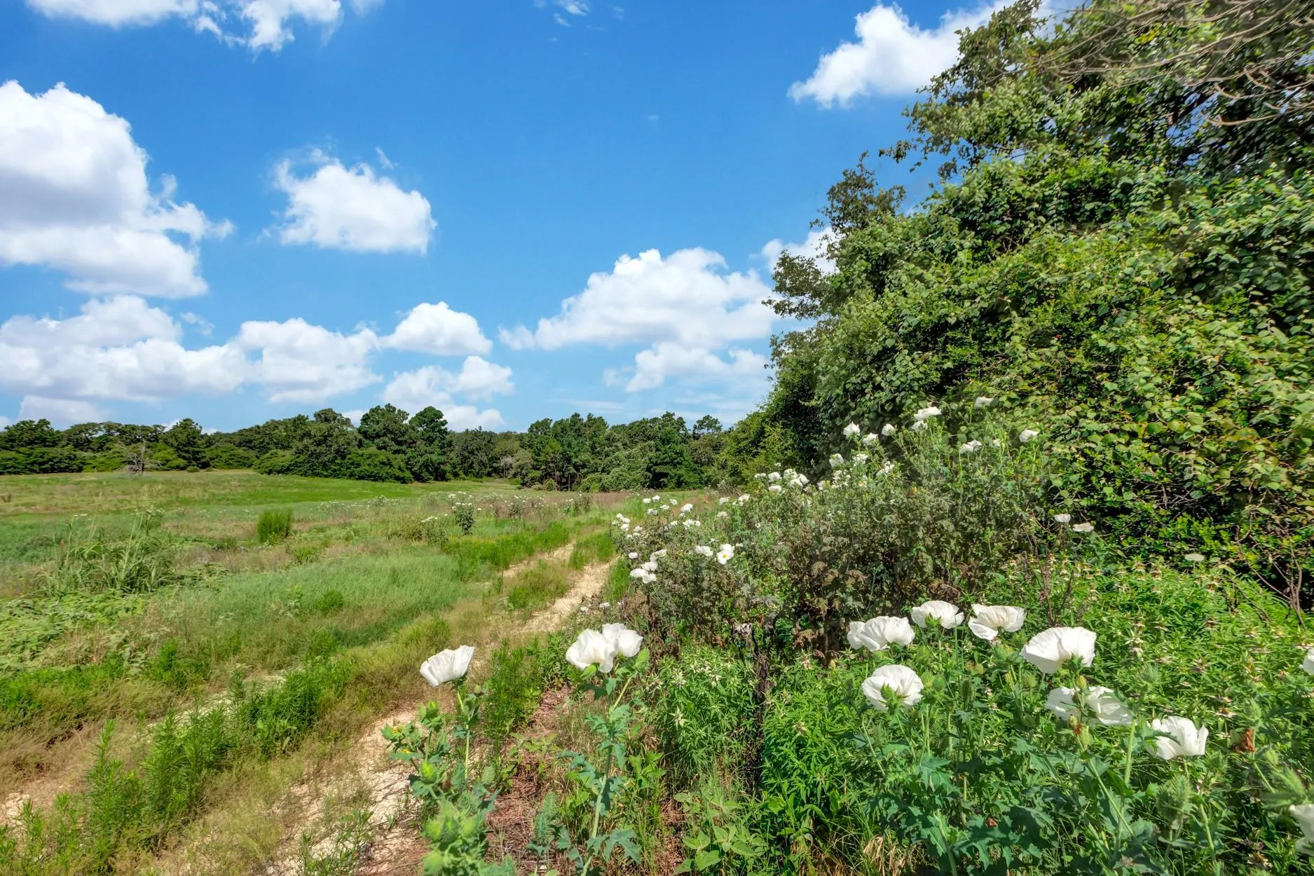 1294 Private Road 1311