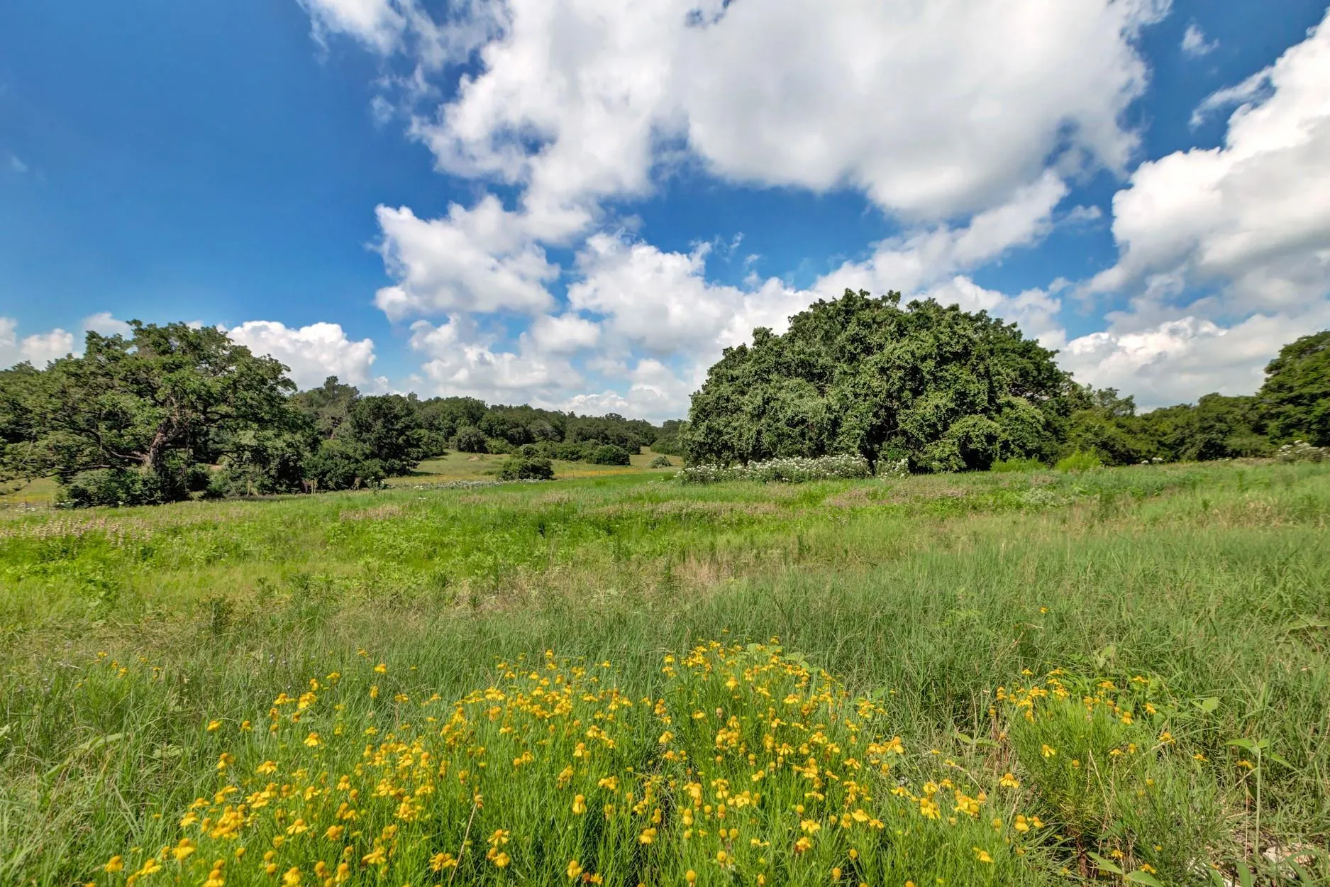 1294 Private Road 1311