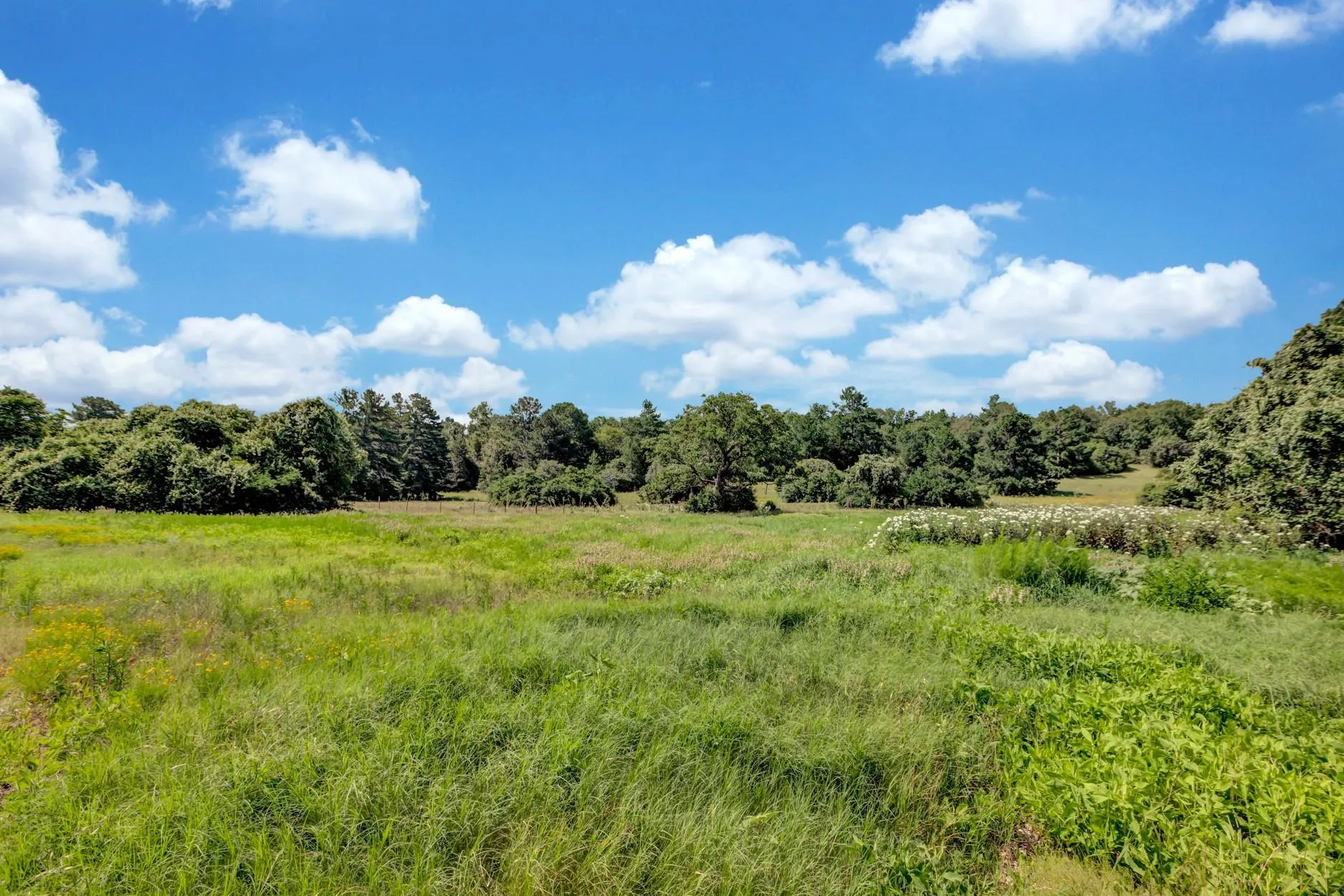 1294 Private Road 1311