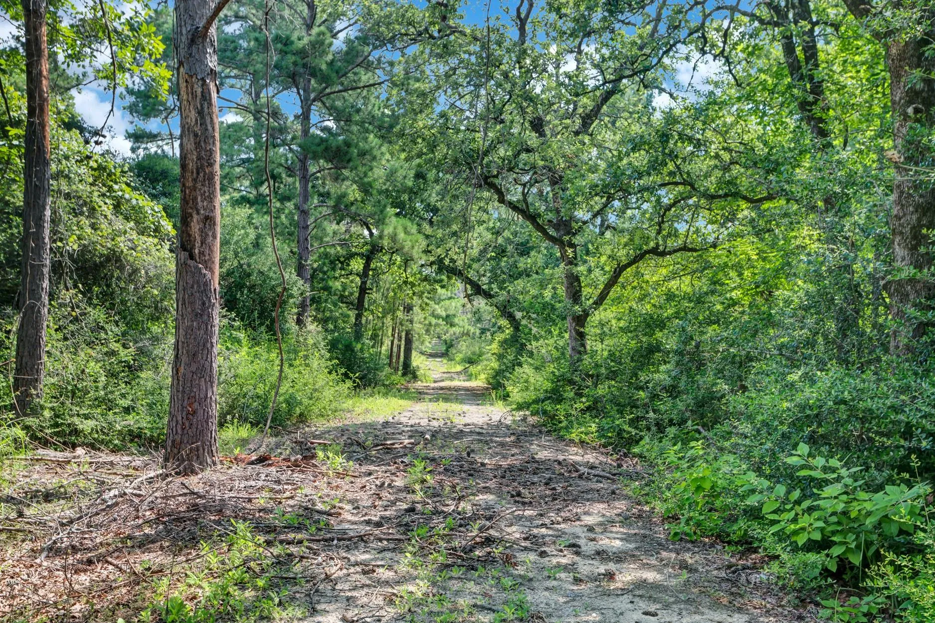 1294 Private Road 1311