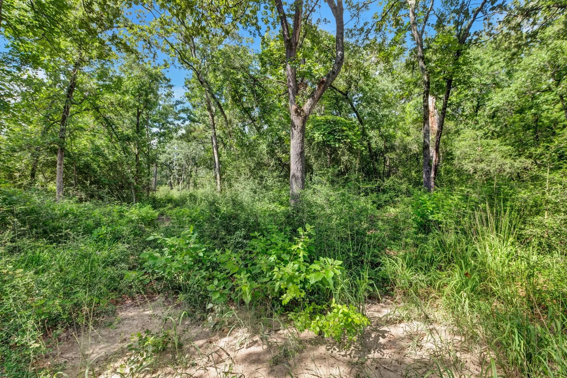 1294 Private Road 1311