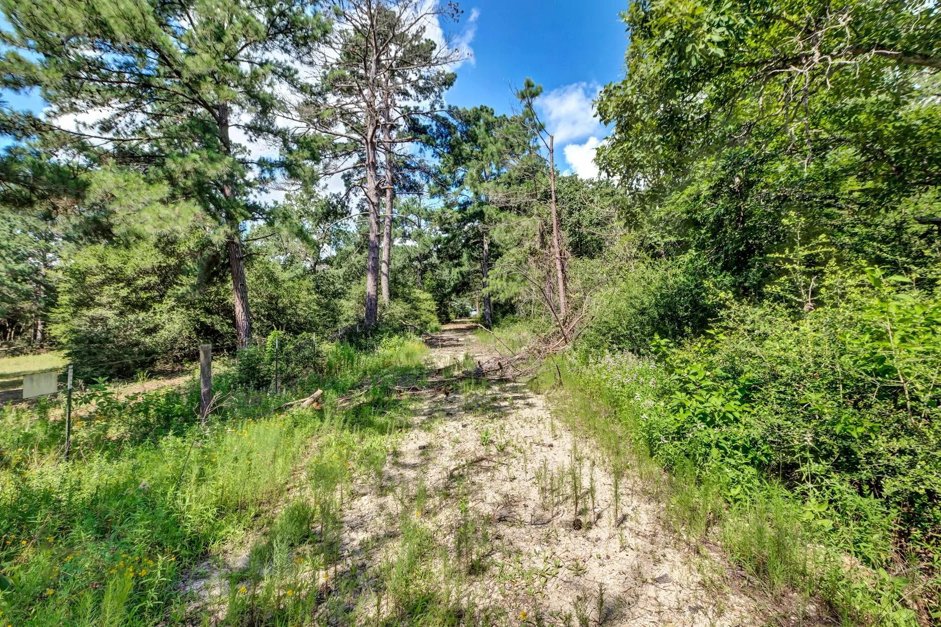 1294 Private Road 1311