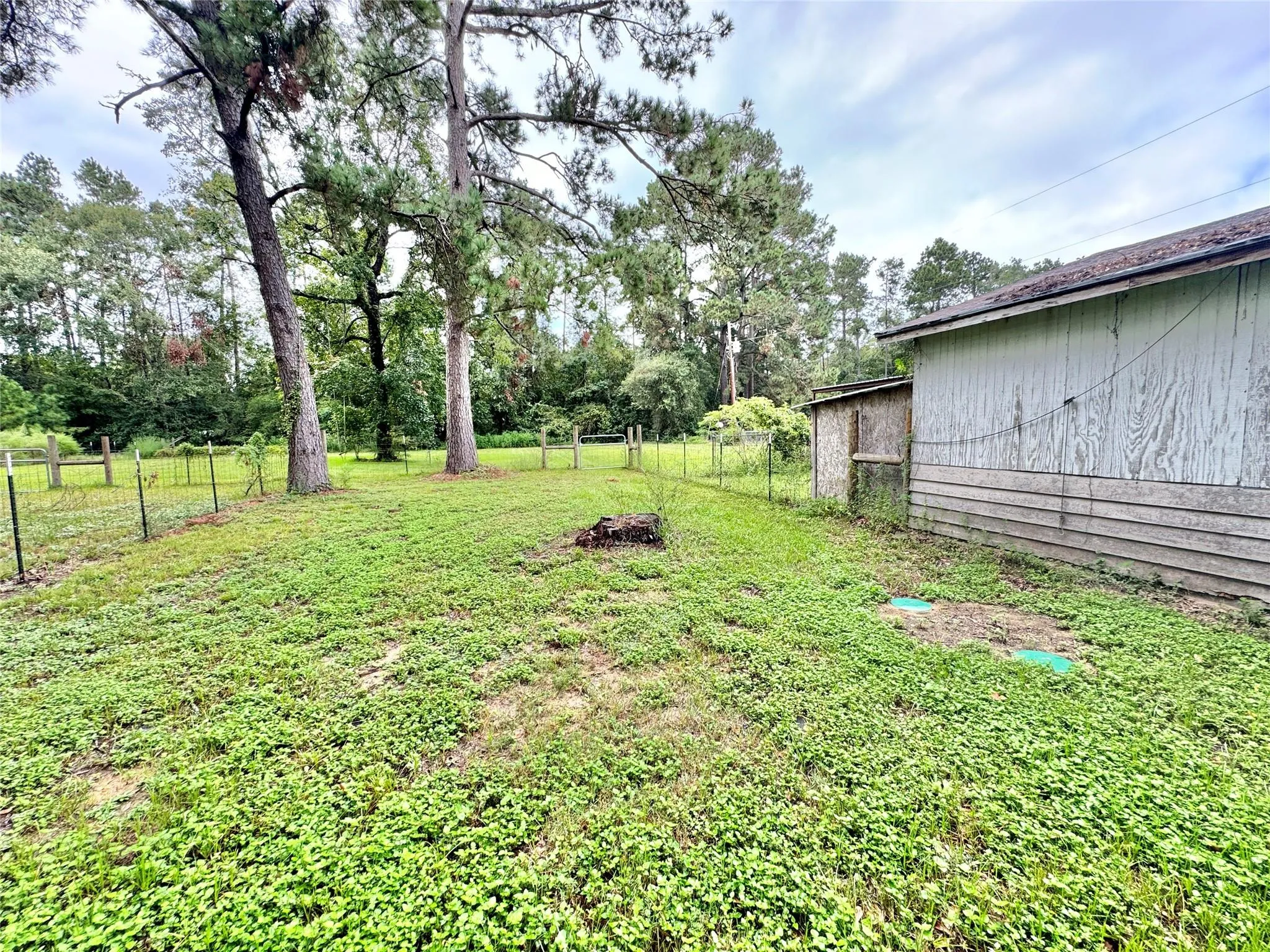 15357 Ben Wiggins Road B