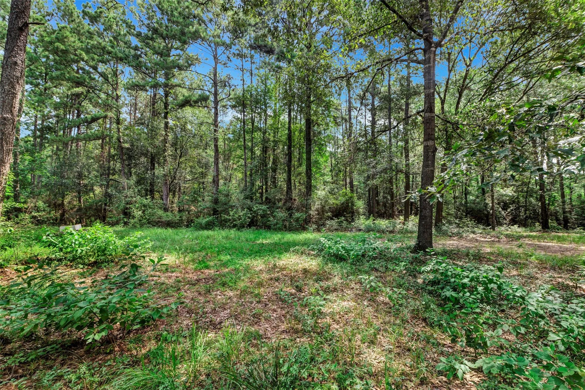 16620 Stonecrest Drive