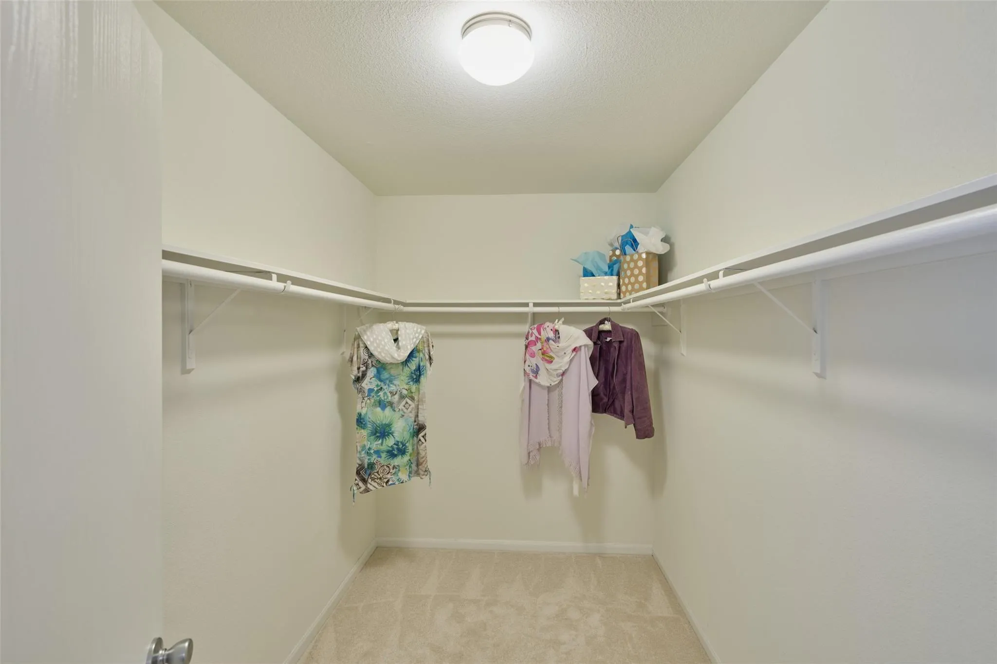 19309 Cabela Ridge Court