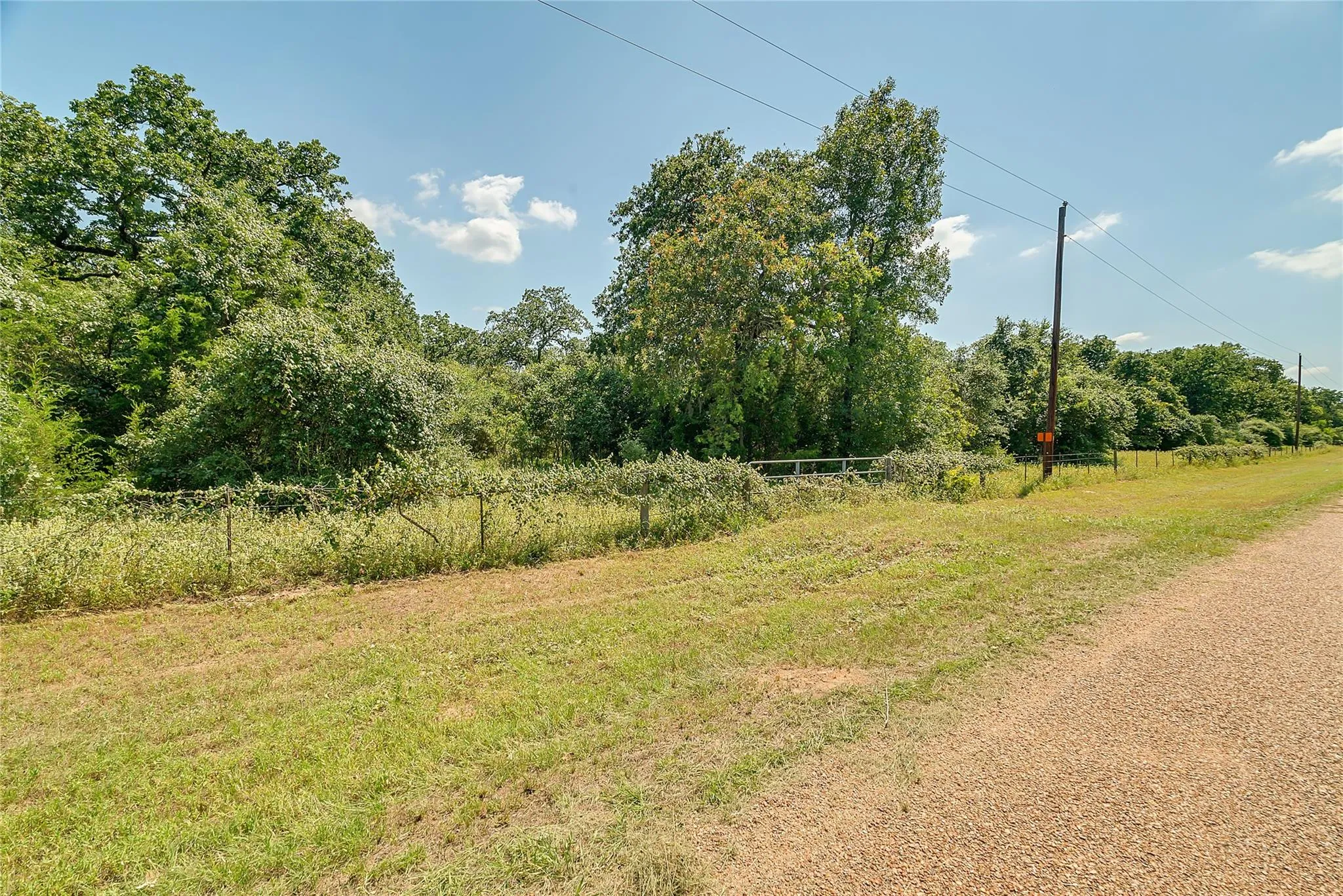 Parcel 19231 County Road 215