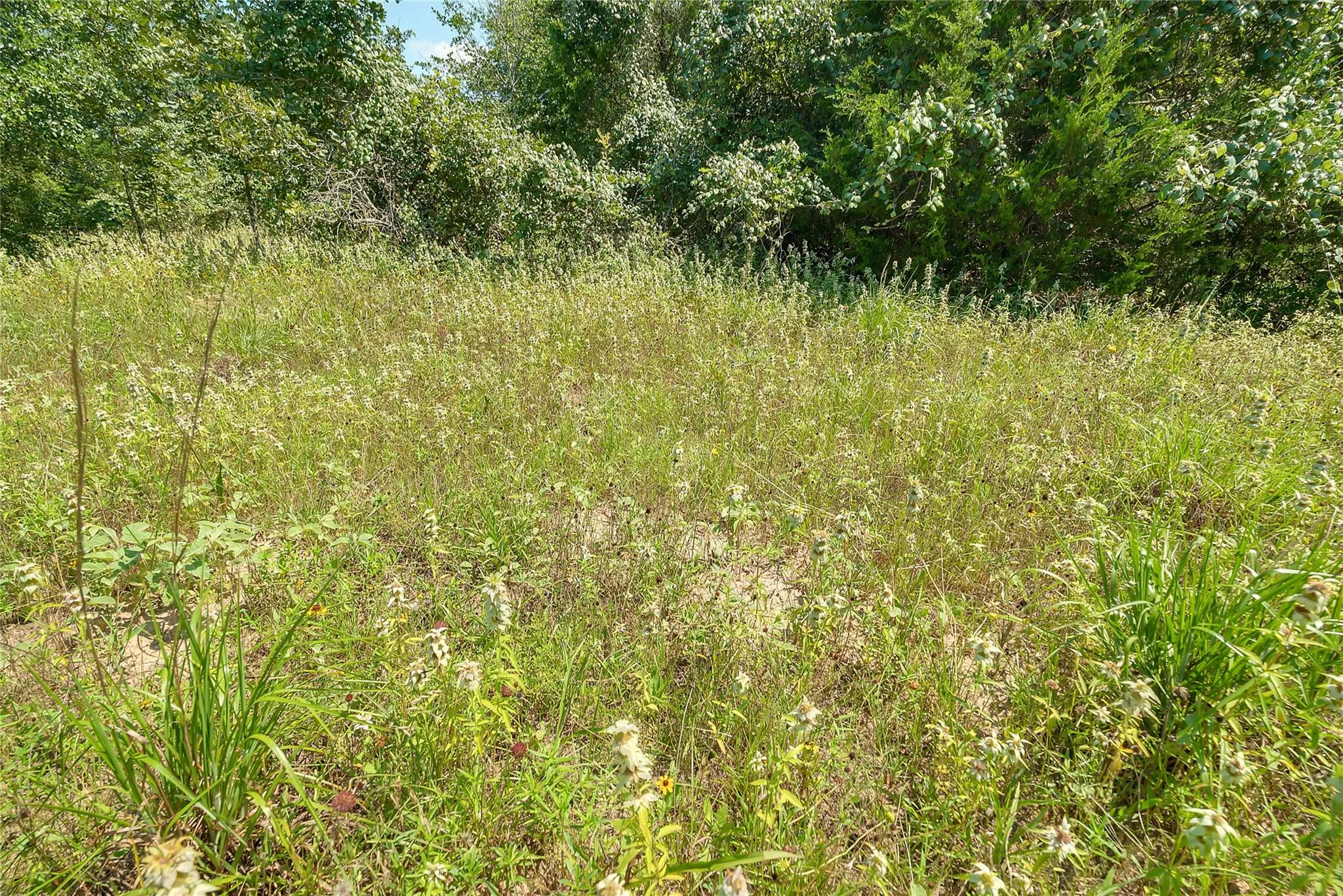 Parcel 19231 County Road 215