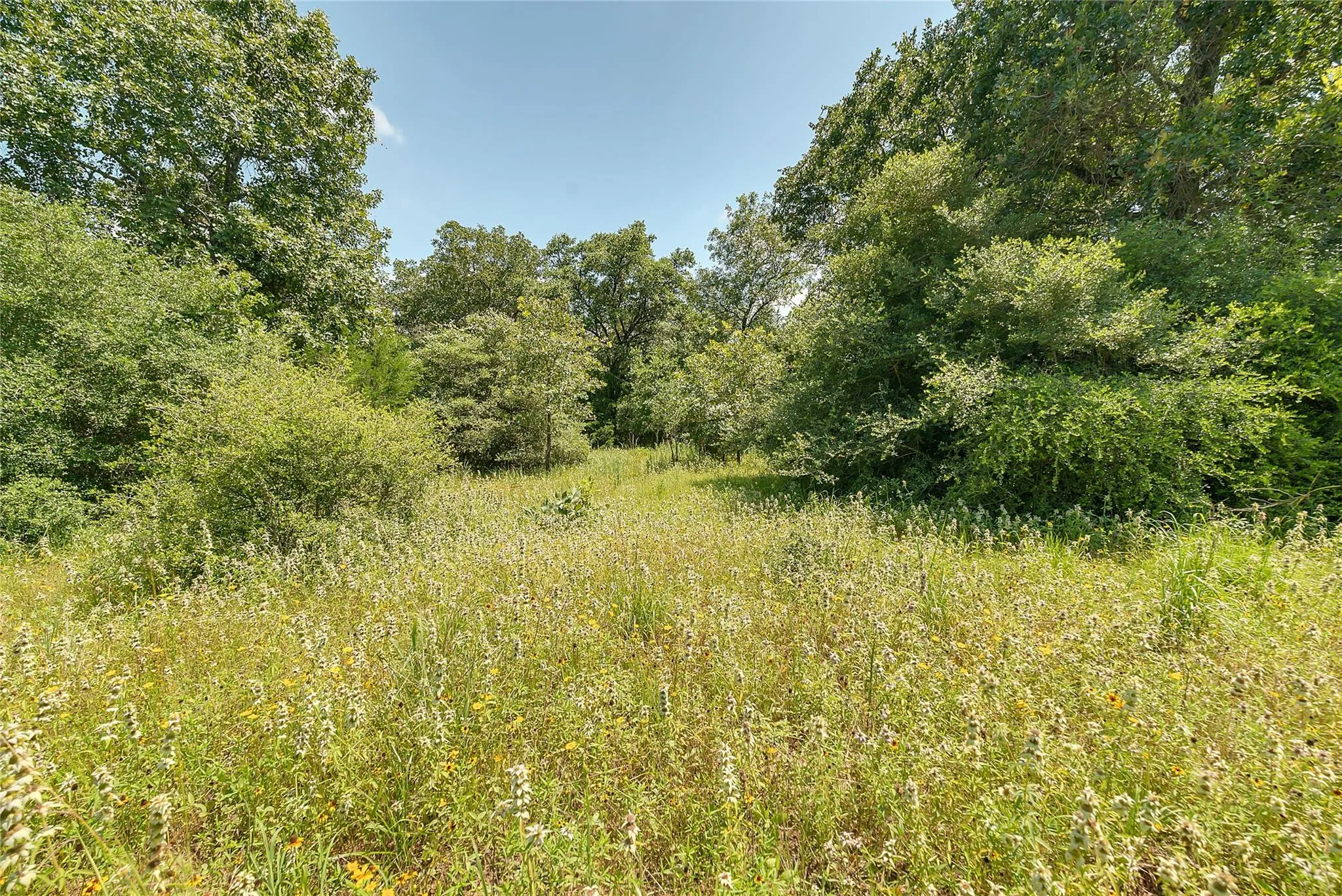 Parcel 19231 County Road 215